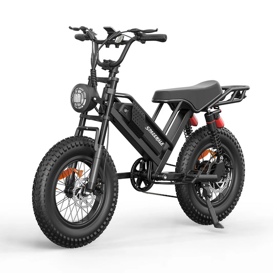 EILLEO SPACEWALK M7 Electric Bike With 750W Peak Motor