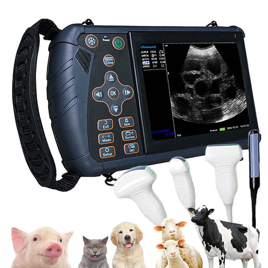DAWEI Portable Veterinary Ultrasound Scanner B Ultra For Farm Animals