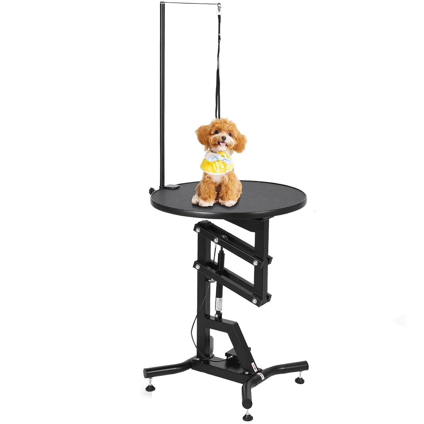 HiMISS 360 Rotating Hydraulic Dog Grooming Table for Small Dogs
