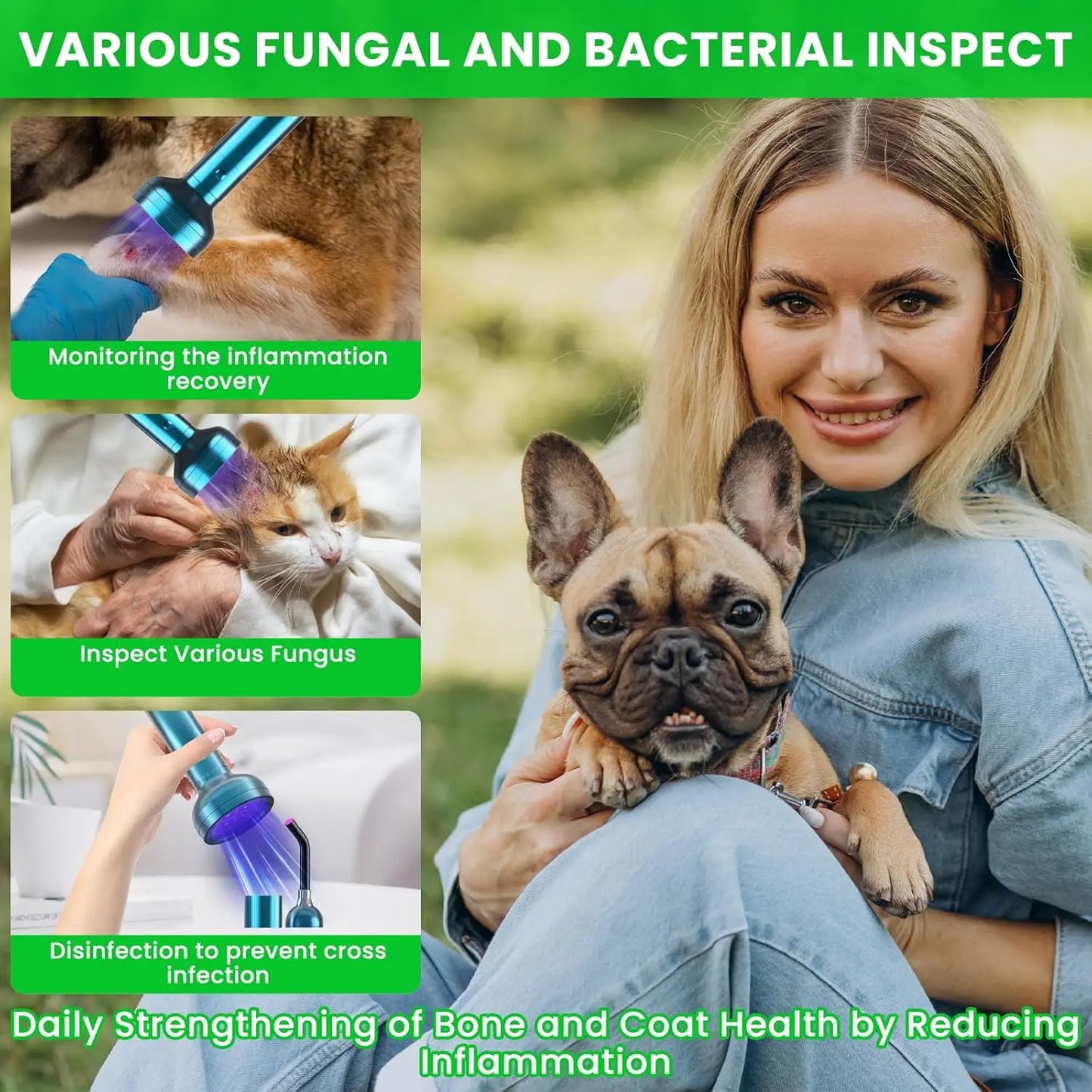 3 In 1 Cold Laser Therapy For Dogs Red Light Skin Care Device Pain Relief