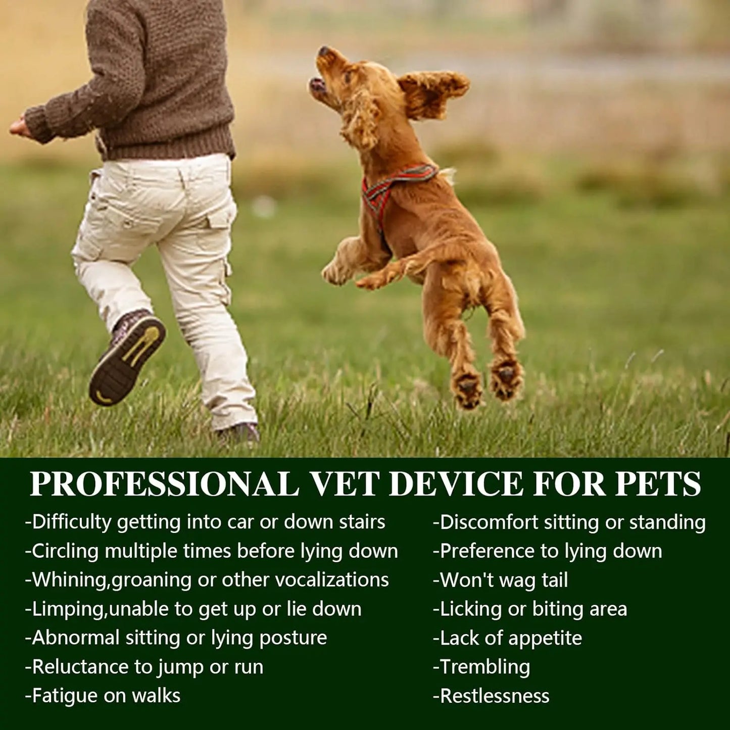 Portable Phototherapy Device For Pets Arthritis Pain Relief Veterinary Equipment