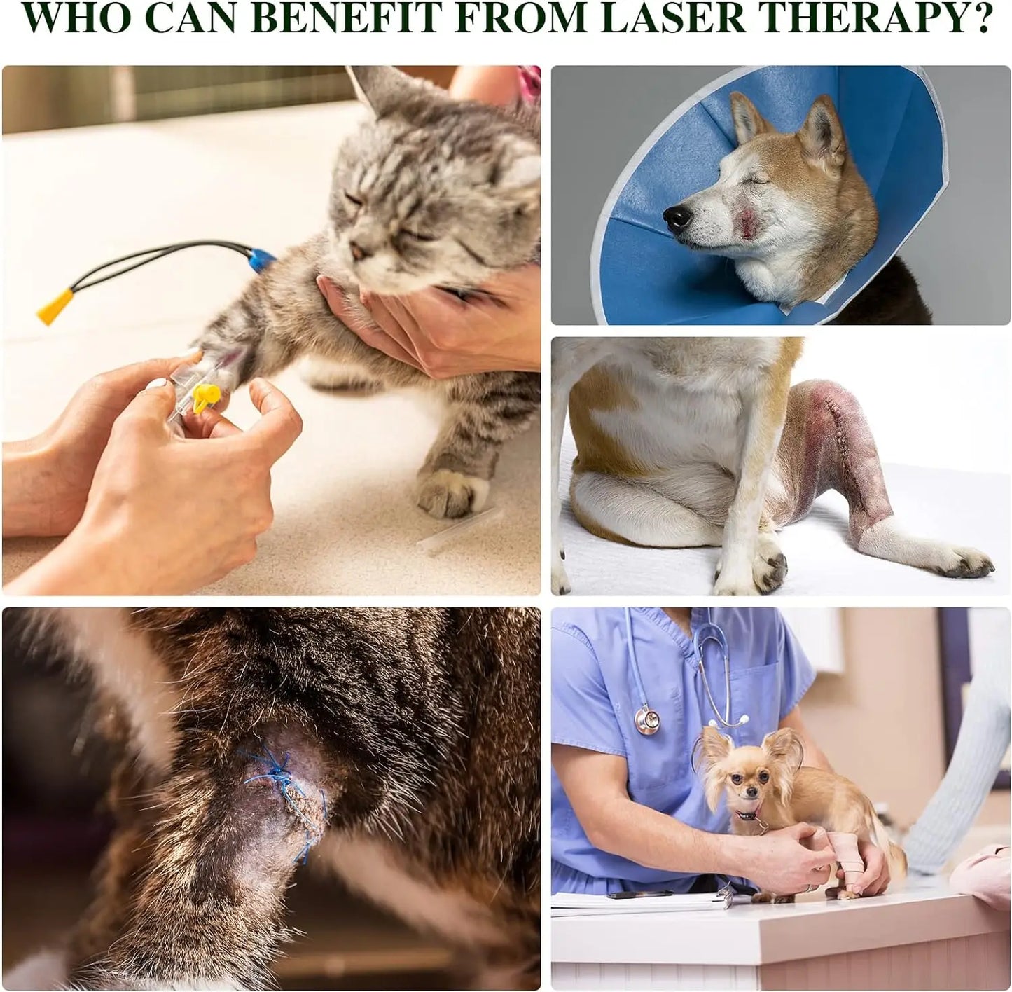 Portable Phototherapy Device For Pets Arthritis Pain Relief Veterinary Equipment