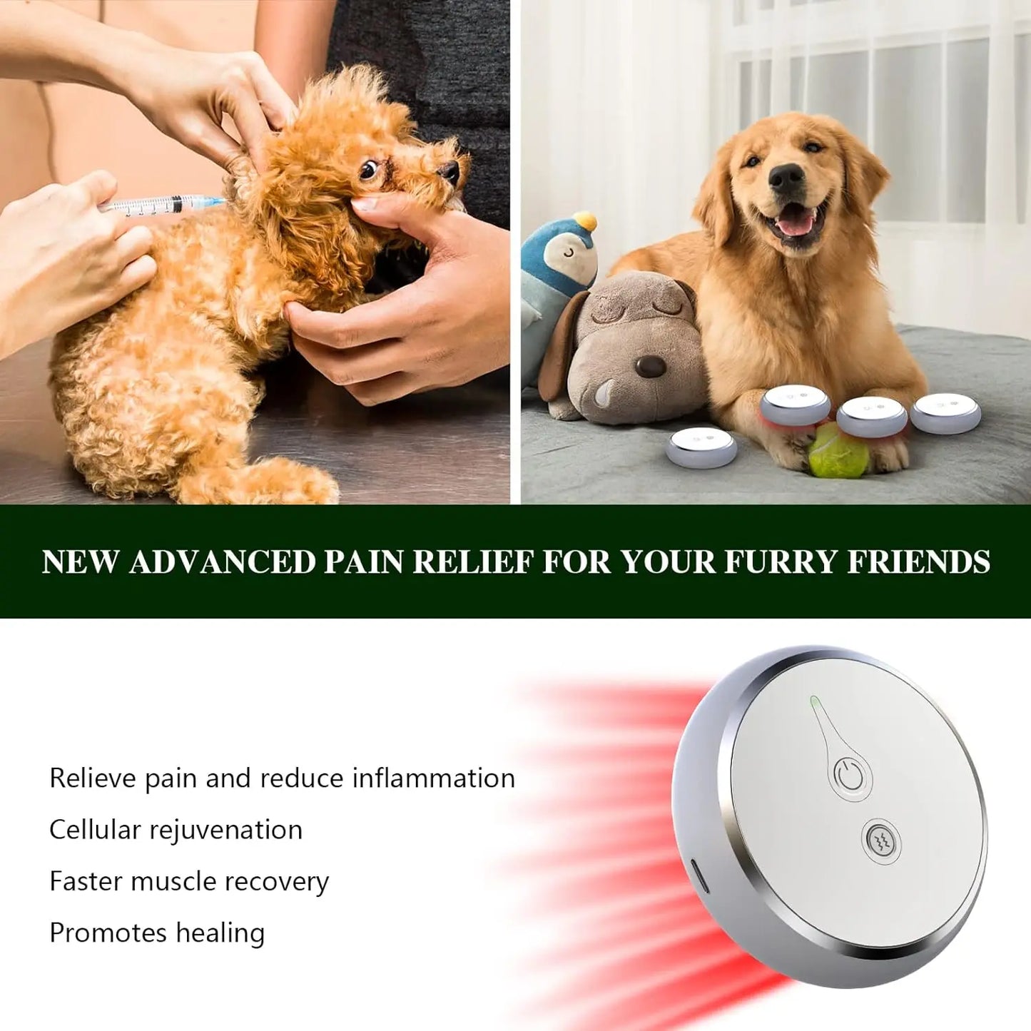 Portable Phototherapy Device For Pets Arthritis Pain Relief Veterinary Equipment