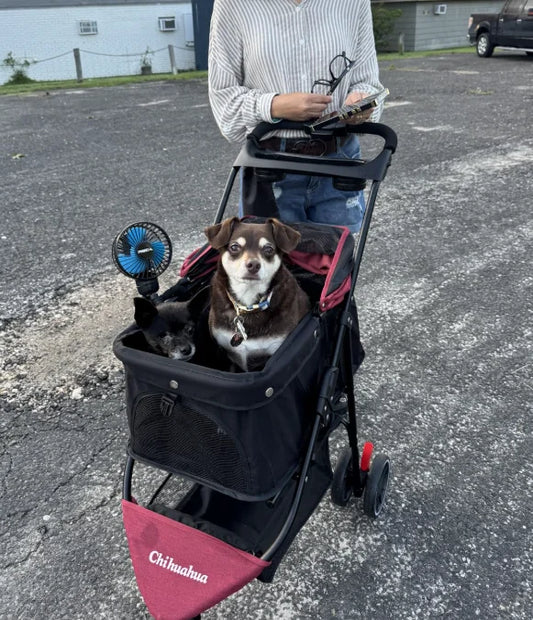 Chihuahua Portable Foldable Pet Stroller with Canopy and Storage Basket