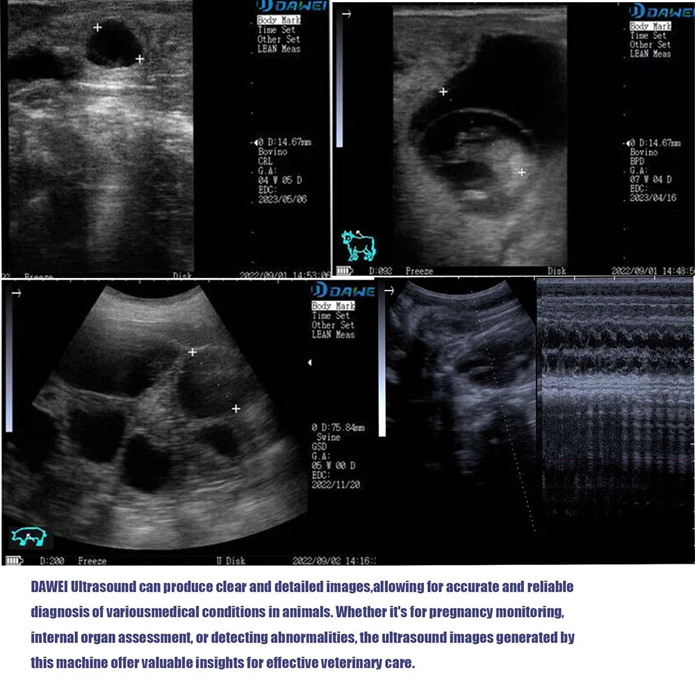 DAWEI Portable Veterinary Ultrasound Scanner B Ultra For Farm Animals