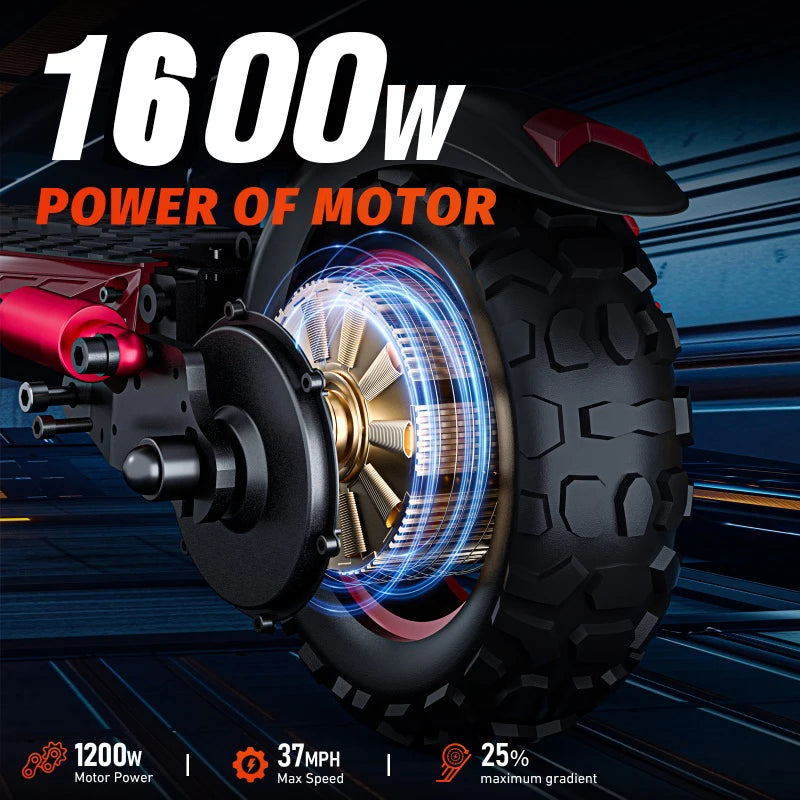 Electric Scooter 1600W 48V21Ah Lithium Battery With Dual Disc Brakes